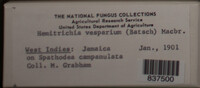 Image Associated With the Occurence